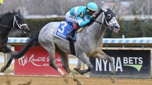 My World Scores Another Aqueduct Win in Jerome Stakes